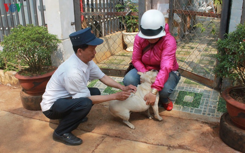  
Lực lượng chức năng tiến hành tiêm phòng dại cho chó (Ảnh minh họa: VOV)