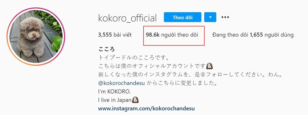  
Lượng người follow Instagram của Kokoro khá lớn. (Ảnh: Chụp màn hình).