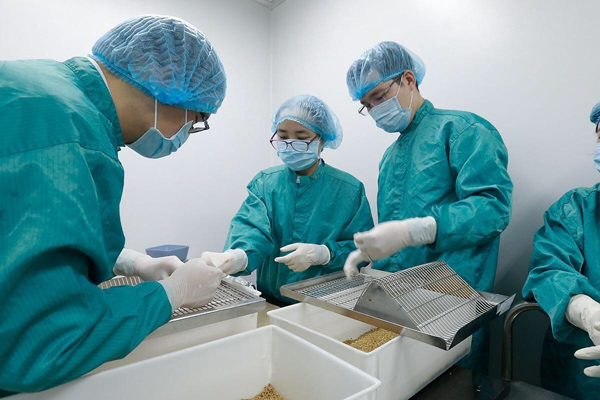 
Việt Nam thử nghiệm thành công vắc-xin Covid-19 trên chuột. (Ảnh: VINIF)