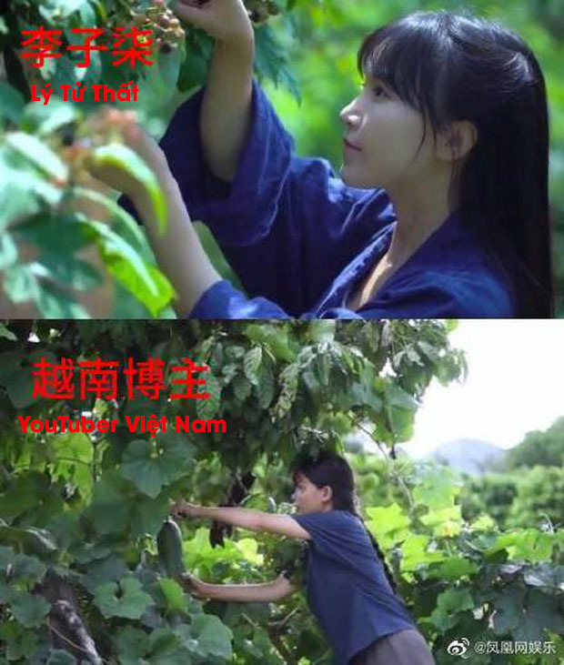  
Hình ảnh so sánh cho thấy YouTuber Việt Nam bắt chước khá giống với hình ảnh của Lý Tử Thất trong clip. (Ảnh: Weibo).