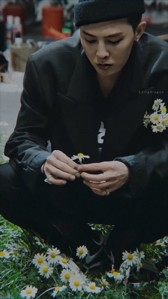 
Hoa cúc được xem là biểu tượng của G-Dragon. Ảnh: Pinterest