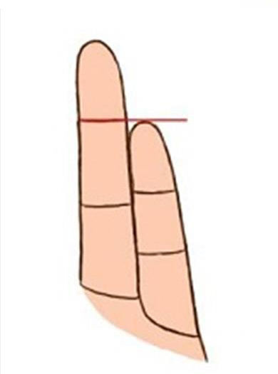  
Bạn là người sống nội tâm nếu chiều dài ngón tay út bằng với 2 đốt ngón tay đeo nhẫn. (Ảnh minh họa: Thuật xem tướng)