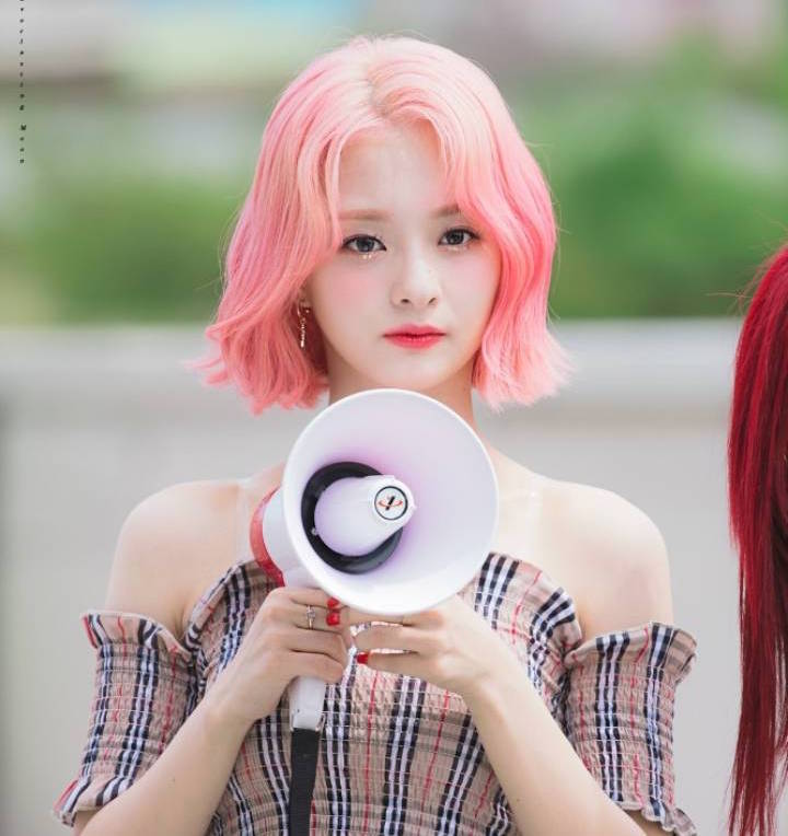 Những idol được khen hợp tóc hồng của Kpop