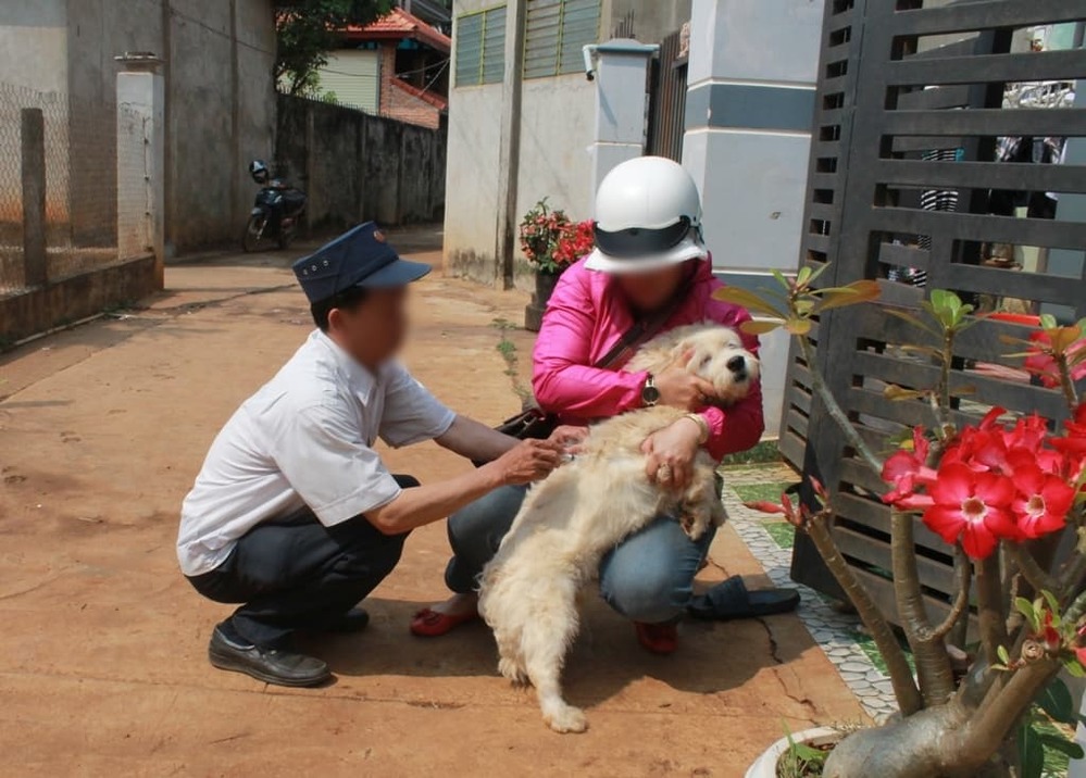  Một chú chó ở tỉnh Đắk Lắk được tiến hành tiêm phòng dại. (Ảnh: Báo Đắk Lắk)