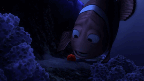  
Không phải ngẫu nhiên mà Marlin lại quan tâm và chăm sóc Nemo 1 cách hơi thái quá như vậy sau những gì đã xảy ra trong quá khứ (Ảnh: E!Online)