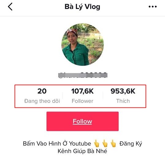  
Bà Lý Vlog sở hữu lượng follow trên TikTok khá lớn. (Ảnh: Chụp màn hình).