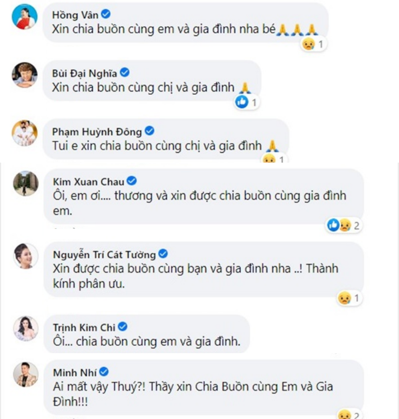 
Hồng Vân, Kim Xuân, Minh Nhí, Đại Nghĩa, Trịnh Kim Chi chia buồn