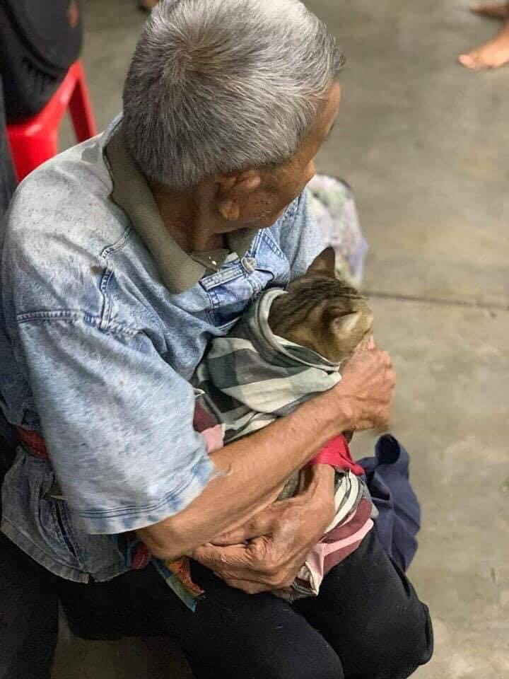  
Con mèo ông quấn chặt trong chăn rồi ôm vào lòng. (Ảnh: Alex Marine Junyatanakorn)