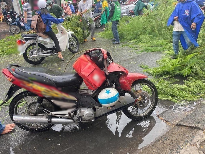  
Nhánh cây phượng rơi đập trúng một người đi xe máy (Ảnh: Zing)