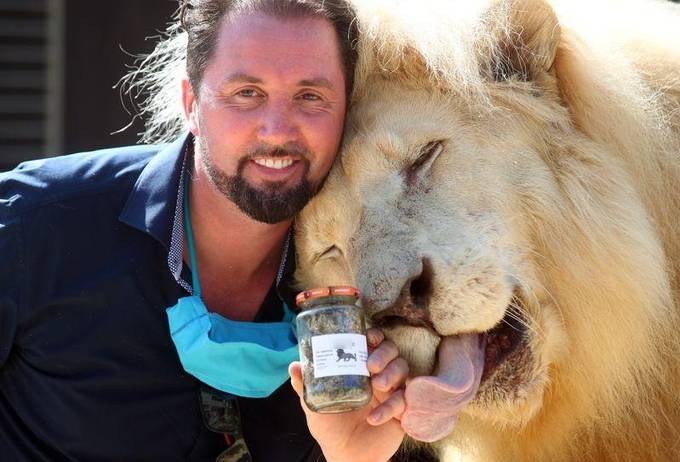  
Anh Martin Lacey cầm trên tay một lọ phân sư tử, chụp cùng chú sư tử Tonga (Ảnh: Reuters)
