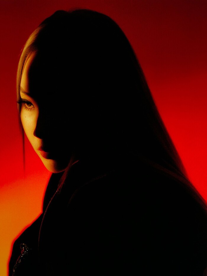  
Bức ảnh bí ẩn của CL. (Ảnh: Twitter)