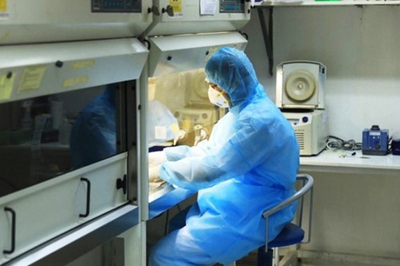 
Nhân viên y tế làm việc trong phòng thí nghiệm (Ảnh: Báo Sài Gòn Giải Phóng)