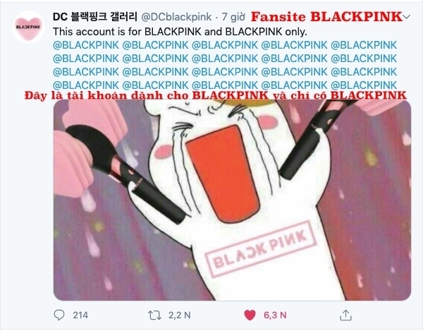 
Fansite lớn nhất của BLACKPINK thể hiện thái độ phản đối khi được kêu gọi ủng hộ Treasure (Ảnh: chụp màn hình).
