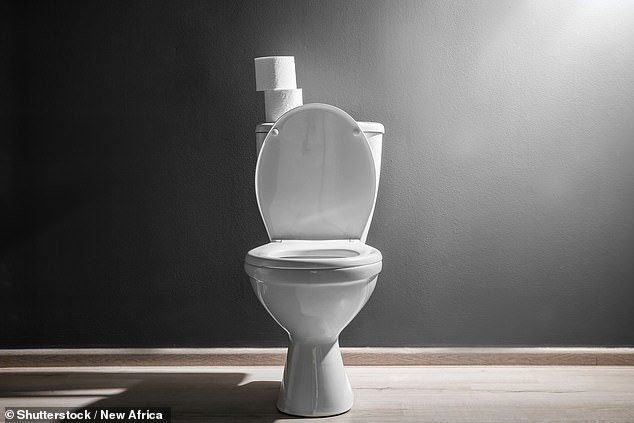 
Nhà vệ sinh công cộng có nguy cơ chứa mầm bệnh cao. (Ảnh: Daily Mail)