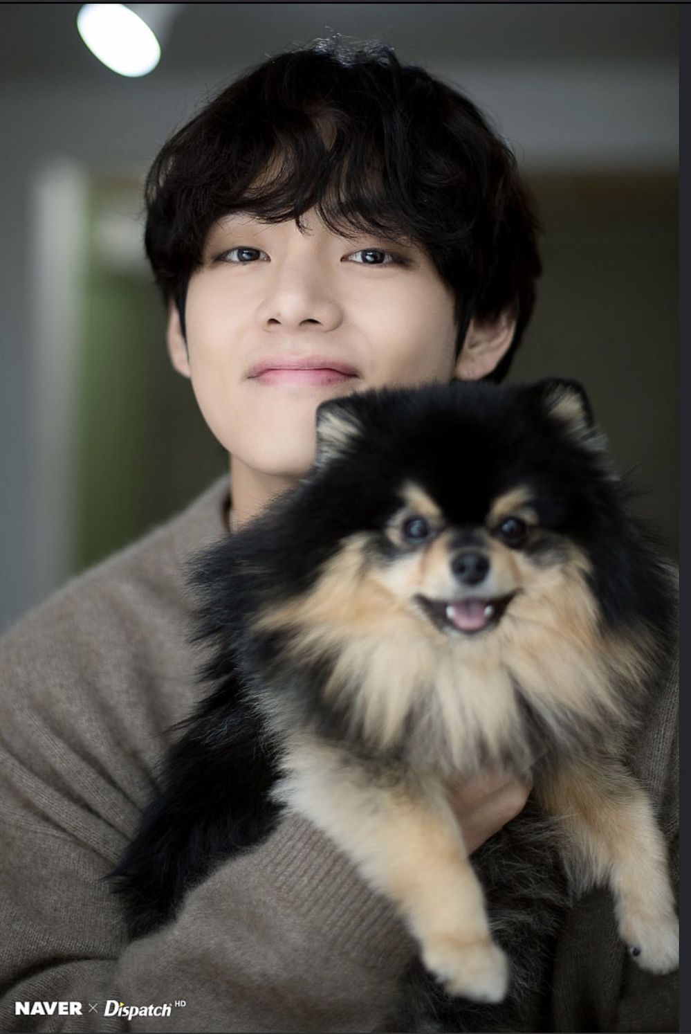 Cún cưng Yeontan của V BTS leo top trending ngày sinh nhật