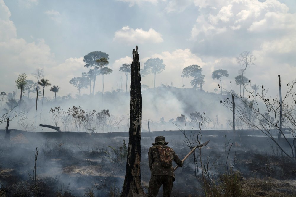  
Rừng cây ở Amazon hoang tàn do cháy rừng. (Ảnh: AP)