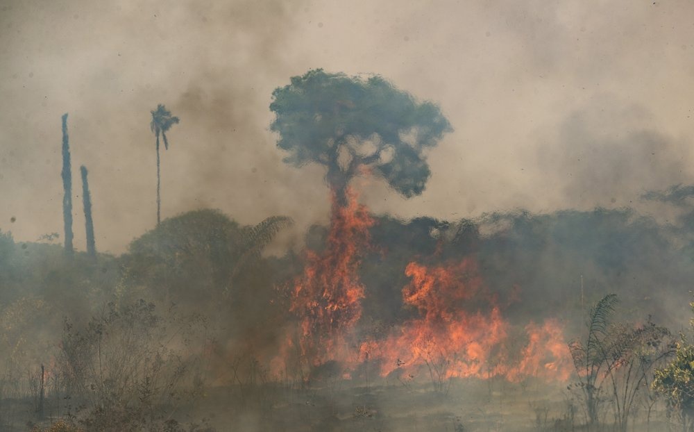  
Lửa bốc cháy dữ dội tại 1 khu vực ở rừng Amazon. (Ảnh: AP)