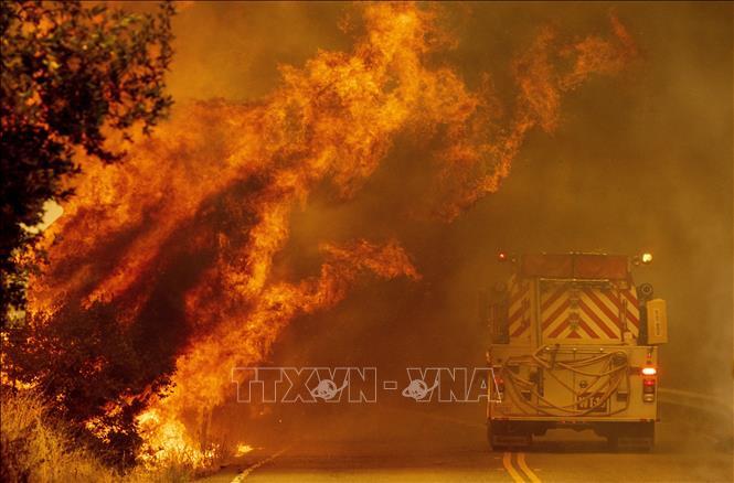  
Khói lửa bốc lên trong vụ cháy rừng ở Napa, bang California, Mỹ, ngày 18/8/2020. (Ảnh: TTXVN)