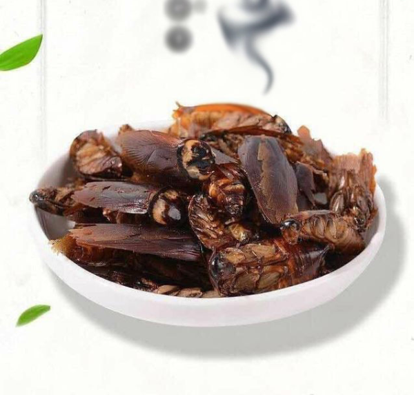 Ảnh quảng cáo món gián sấy khô đóng gói được rao bán trên mạng. (Ảnh: Weibo)