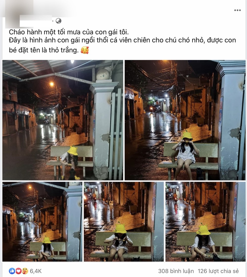  
Câu chuyện xúc động bằng hình ảnh giữa cô bé nhỏ nhắn và chú chó ven đường trong ngày mưa lạnh lẽo thu hút sự chú ý. (Ảnh: FB L.T/C.H.M.P) 