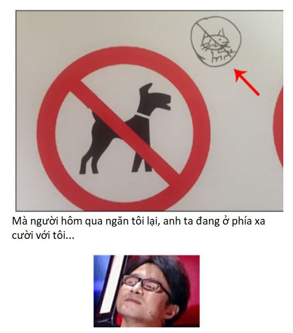  
Hóa ra để phòng ngừa những kẻ "lầy lội" như anh chàng này nên nhân viên trên tàu đã vẽ thêm biểu tượng "cấm mèo" (Ảnh Weibo)