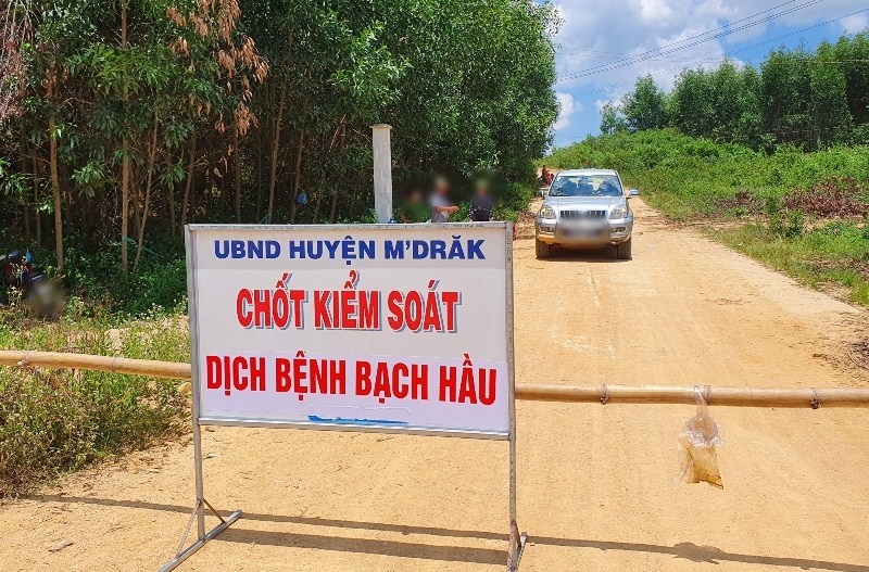 
Một chốt kiểm soát dịch bạch hầu tại tỉnh Đắk Lắk. (Ảnh: Thanh Niên)
