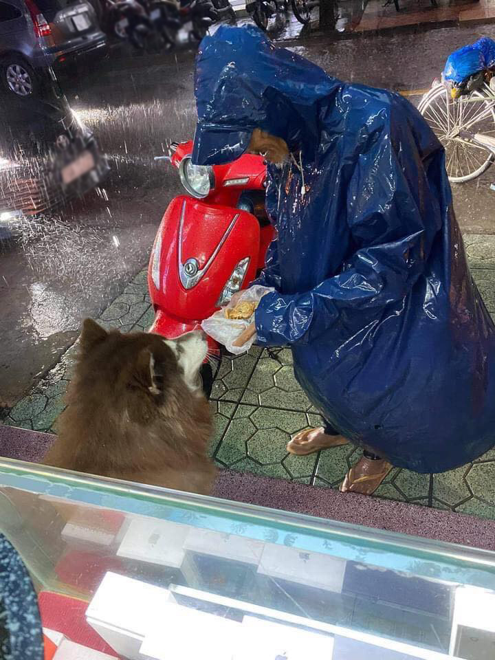  
Trời mưa gió nhưng cụ vẫn ghé vào cho chú chó đồ ăn. (Ảnh: P.N).