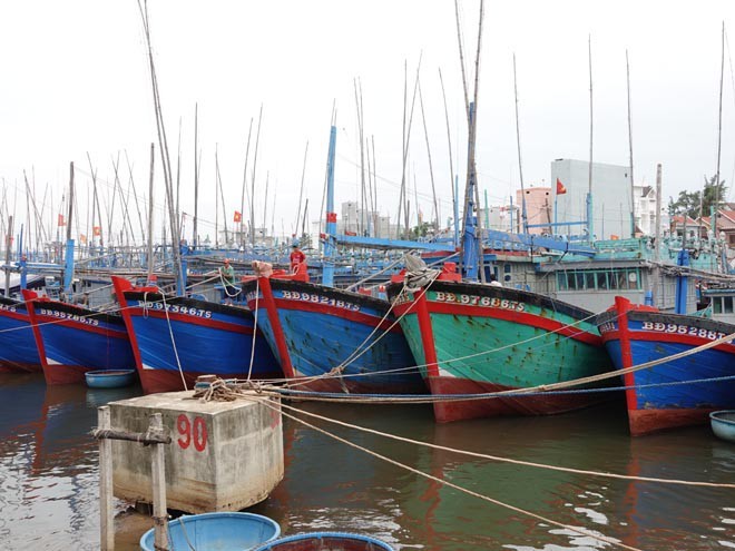  
Tàu cá neo đậu an toàn trước khi bão tới tại cảng Quy Nhơn. (Ảnh: Tuổi Trẻ)