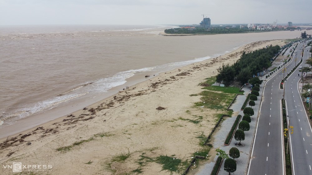
Bãi biển Nhật Lệ - Đồng Hới ngập xác cây trải dài hàng km. (Ảnh: VnExpress)