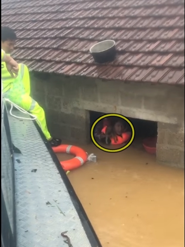  
Bà cụ được cứu khỏi căn nhà ngập nước tới gần nóc. (Ảnh cắt từ clip)