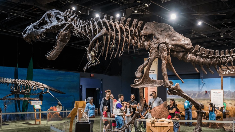 
Khách tham quan đang được giới thiệu về bộ hóa thạch T-Rex Stan. (Ảnh: The New York Times)