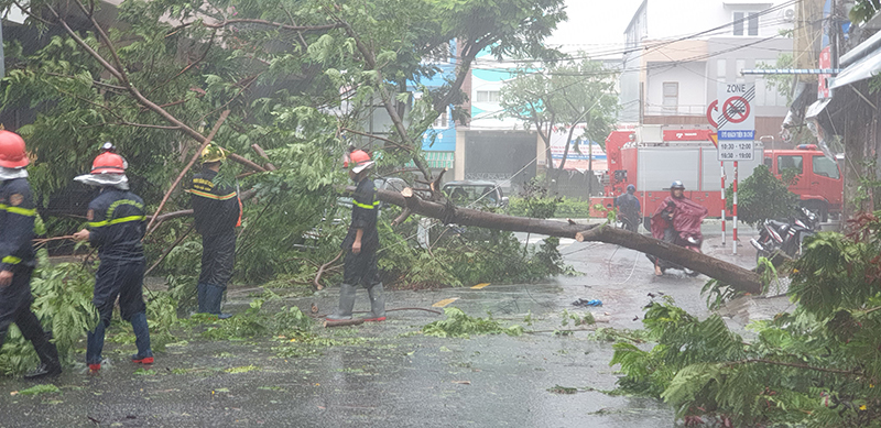 
Cây xanh đổ la liệt trên đường vì ảnh hưởng của bão số 6. (Ảnh: Kinh Tế Đô Thị).