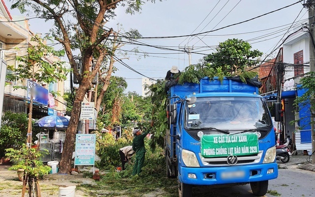  
Thành phố Đà Nẵng cắt tỉa cây xanh để phòng chống bão. (Ảnh: VTV)