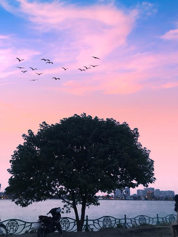 Cây cô đơn Hồ Tây hoàng hôn Tại Hồ Tây, có một cây cô đơn đứng một mình trên bờ đê, tạo nên một khung cảnh đẹp đến khó tả khi hoàng hôn buông xuống. Nếu bạn đam mê nhiếp ảnh và muốn tìm kiếm một góc đẹp để chụp ảnh, đây sẽ là nơi lý tưởng để bạn thỏa sức sáng tạo.