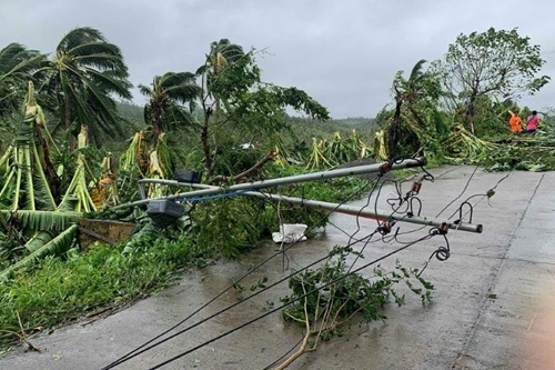  
Cây cối, cột điện gãy đổ vì bão. (Ảnh: Reuters).