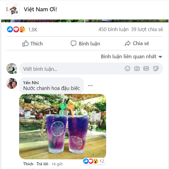  
Các thành viên trong Việt Nam Ơi chia sẻ những món ăn, thức uống từ hoa đậu biếc. (Ảnh chụp màn hình)