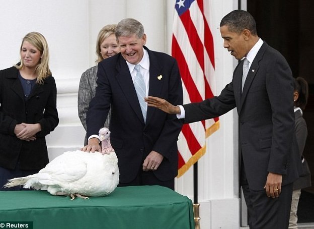  
Tổng thống Obama trong lễ phóng sinh gà tây - Ảnh Daily Mail