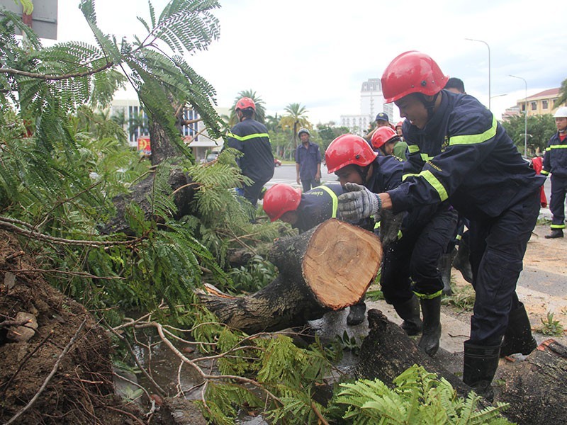  
Lực lượng chức năng dọn dẹp cây cối đổ ngã sau bão. (Ảnh: Thanh Niên).