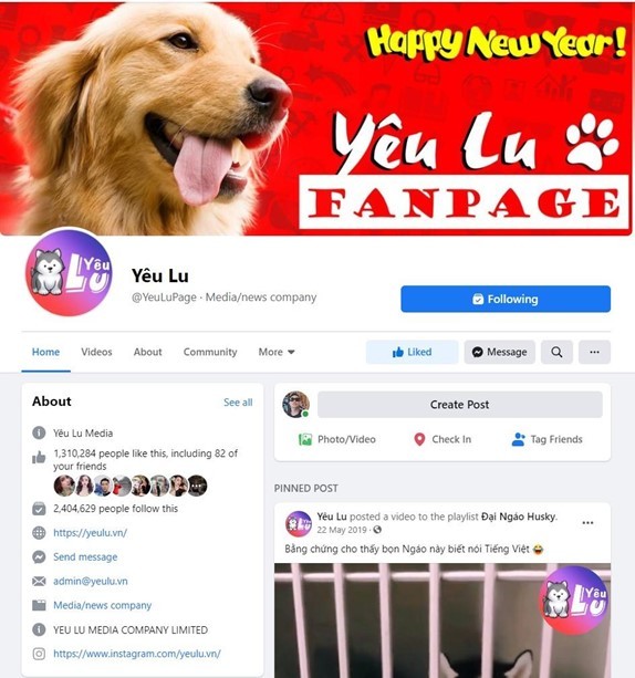  
(Đạt 2,4 triệu follower trong một thời gian ngắn, Yêu Lu đã chứng tỏ được sức hấp dẫn là một trong những trang tin về thú cưng được cư dân mạng tìm đọc).