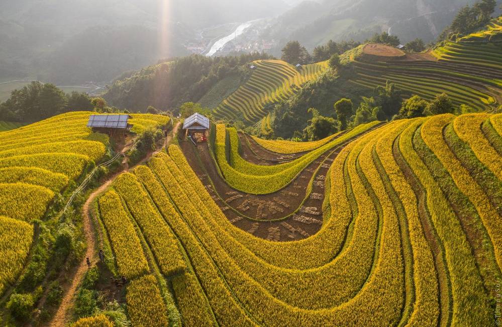  
Cảnh tượng mùa Vàng Tây Bắc ở Việt Nam làm "nức lòng" du khách trong nước và thế giới (Ảnh: Zing)