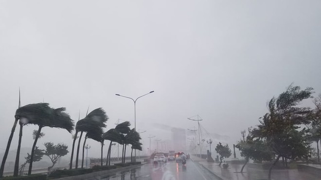  
Đường phố Nha Trang đã gánh chịu những cơn gió mạnh, kèm mưa nặng hạt trong sáng 10/11. (Ảnh: Thanh Niên)