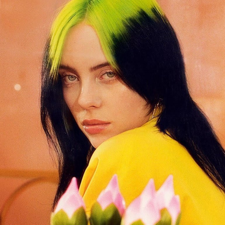 Billie Eilish mất 100000 fan vì đăng ảnh khoe vòng một khủng  Báo điện  tử VnMedia  Tin nóng Việt Nam và thế giới