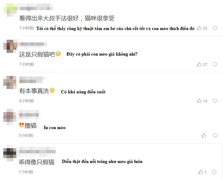  
Netizen xứ Trung phải trầm trồ về độ đáng yêu của em mèo Việt. (Ảnh chụp màn hình)