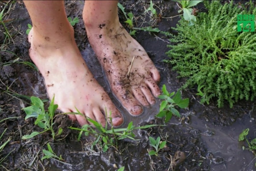  
Tiếp xúc trực tiếp với bùn đất làm tăng khả năng nhiễm vi khuẩn Whitmore. (Ảnh: VNExpress)