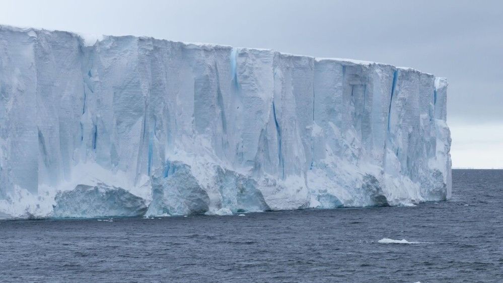  
Độ dày của tảng băng khổng lồ. (Ảnh: Eco Watch)