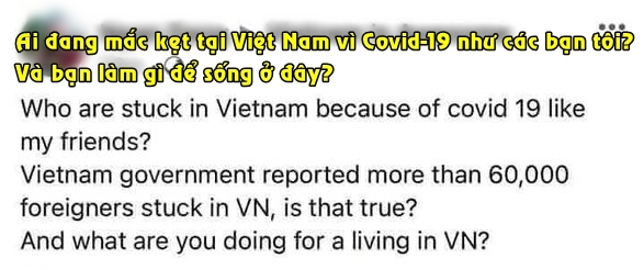 
Bài đăng hỏi về cảm giác của người nước ngoài khi ở Việt Nam trong dịch Covid-19. (Ảnh chụp màn hình)
