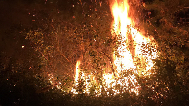 
Hiện trường vụ cháy rừng ở Sóc Sơn. (Ảnh: VTV)