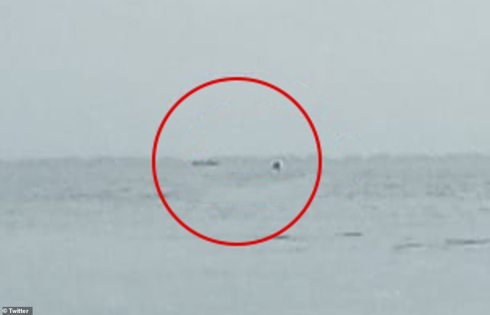  
Bức ảnh chụp được cho là của chiếc máy bay thời điểm vừa rơi xuống biển. (Ảnh: Daily Mail)