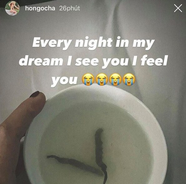  
Hồ Ngọc Hà đi ngủ vẫn mơ thấy "sâu vàng". (Ảnh: Instagram)