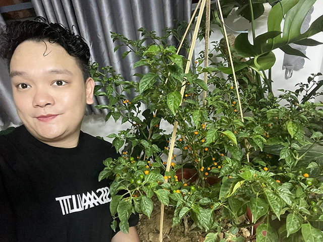  
Còn đây là cây ớt được tặng của diễn viên Trịnh Tú Trung. (Ảnh: FBNV) - Tin sao Viet - Tin tuc sao Viet - Scandal sao Viet - Tin tuc cua Sao - Tin cua Sao